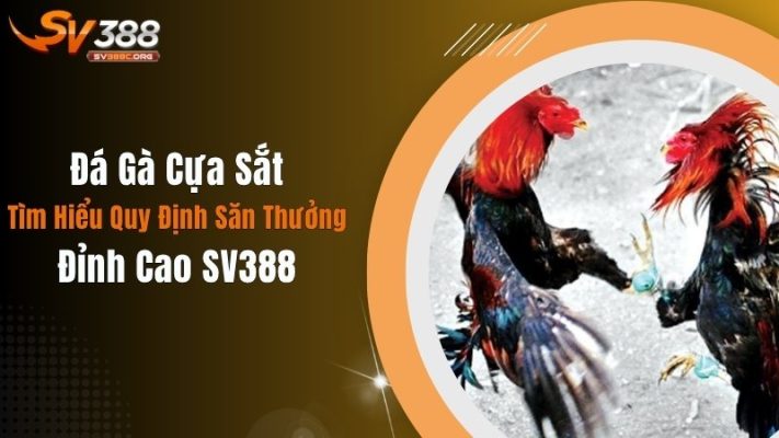 Đá Gà Cựa Sắt: Tìm Hiểu Quy Định Săn Thưởng Đỉnh Cao SV388