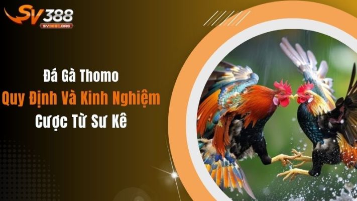 Đá Gà Thomo: Quy Định Và Kinh Nghiệm Cược Từ Sư Kê