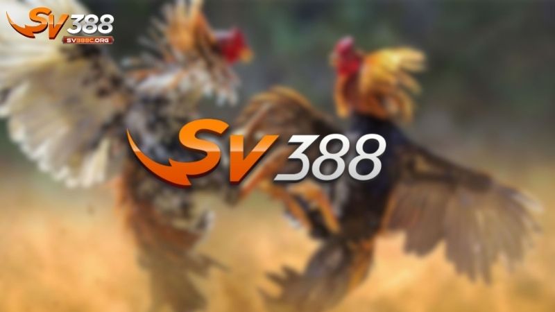 Giới thiệu SV388