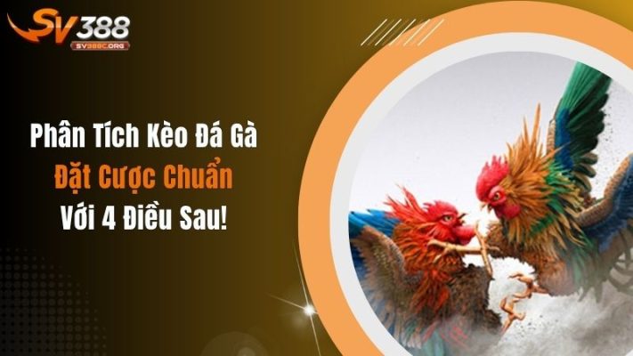 Phân Tích Kèo Đá Gà Đặt Cược Chuẩn Với 4 Điều Sau!
