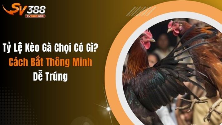 Tỷ Lệ Kèo Gà Chọi Có Gì? Cách Bắt Thông Minh, Dễ Trúng